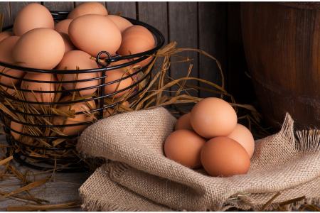 5 Fakta Menarik Tentang Telur Ayam - Smiley Eggy Farm