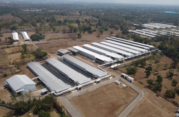 Peternakan Ayam Petelur Terbaik Indonesia Smiley Eggy Farm - Farm