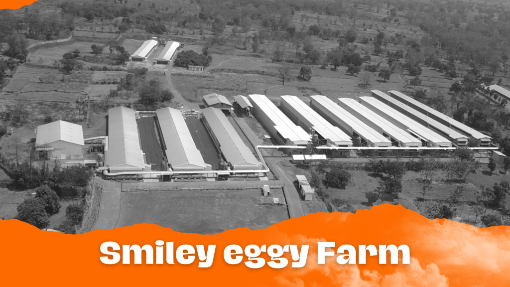 Farm Drone - Smiley Eggy Farm