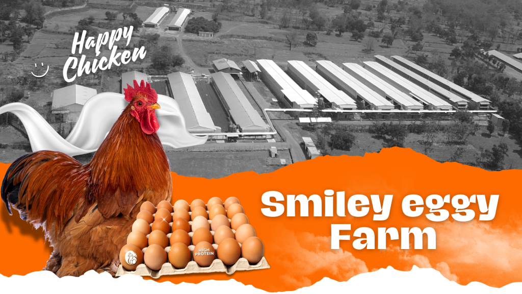 Hero Smiley Eggy Farm