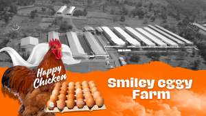 Foot Smiley Eggy Farm