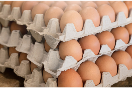 8 Kandungan Nutrisi Telur Ayam Smiley Eggy Farm