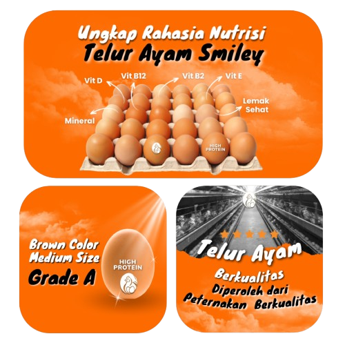 Nutrisi Telur Ayam Smiley Eggy Farm