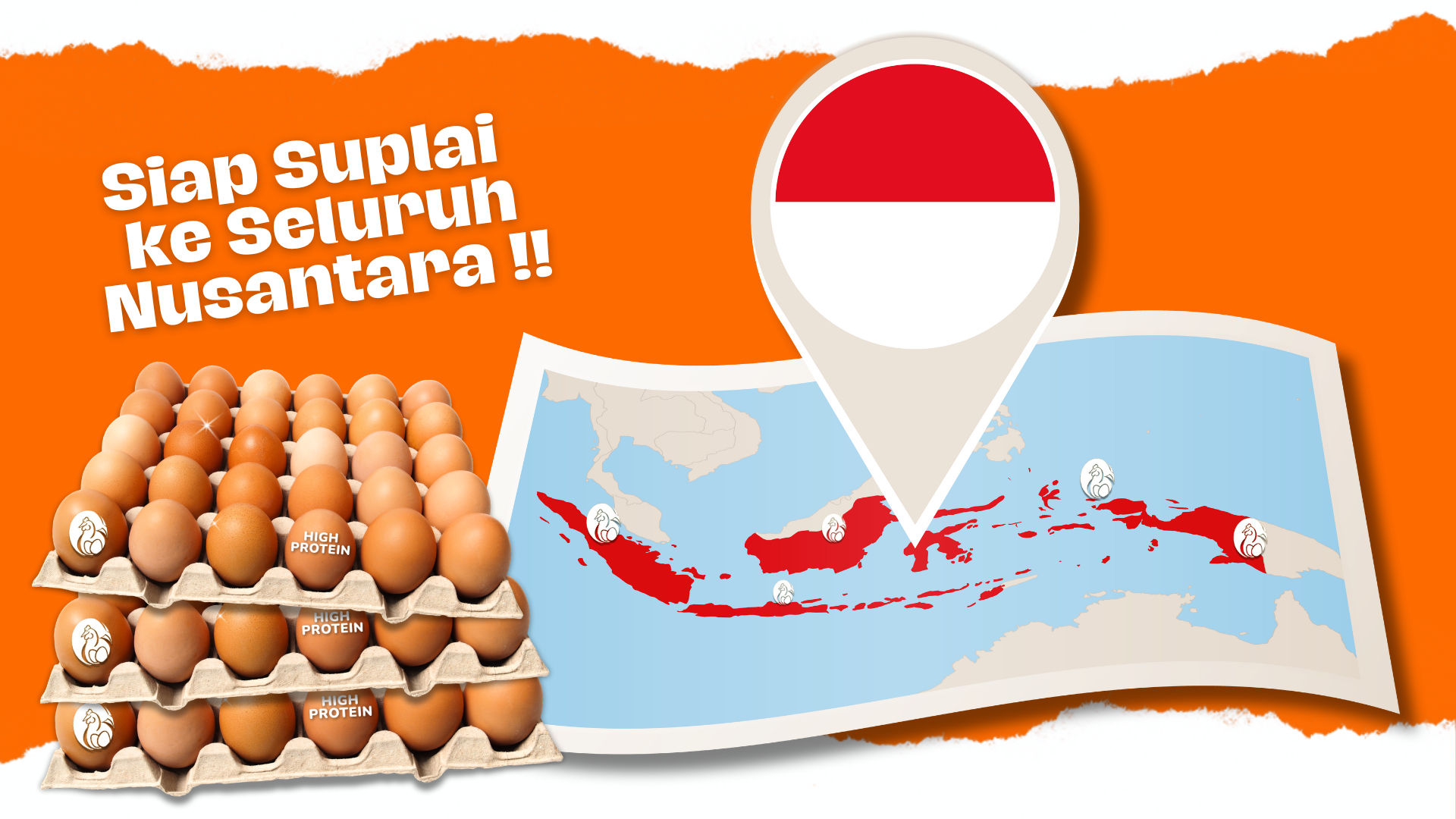 Siap Suplai ke Seluruh Nusantara - Smiley Eggy Farm