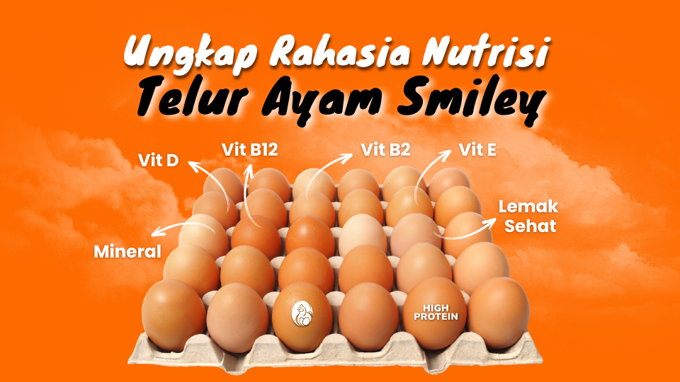 Nutrisi Telur Ayam Smiley Eggy Farm