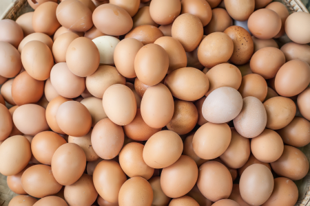 Keunggulan Telur Ayam Segar dari Peternakan Lokal Smiley Eggy Farm