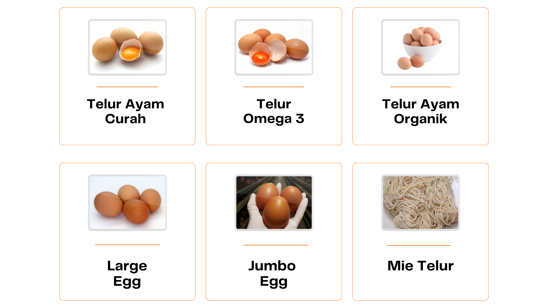 Katalog Produk Peternakan ayam petelur Smiley Eggy Farm